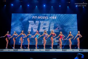 FIT-MODEL +164- 1 раунд